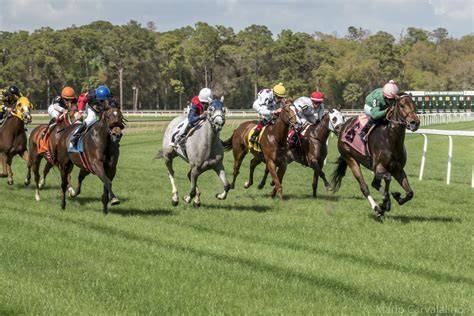 Full Result 9.12 Tampa Bay Downs (USA) .